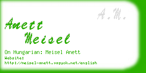 anett meisel business card